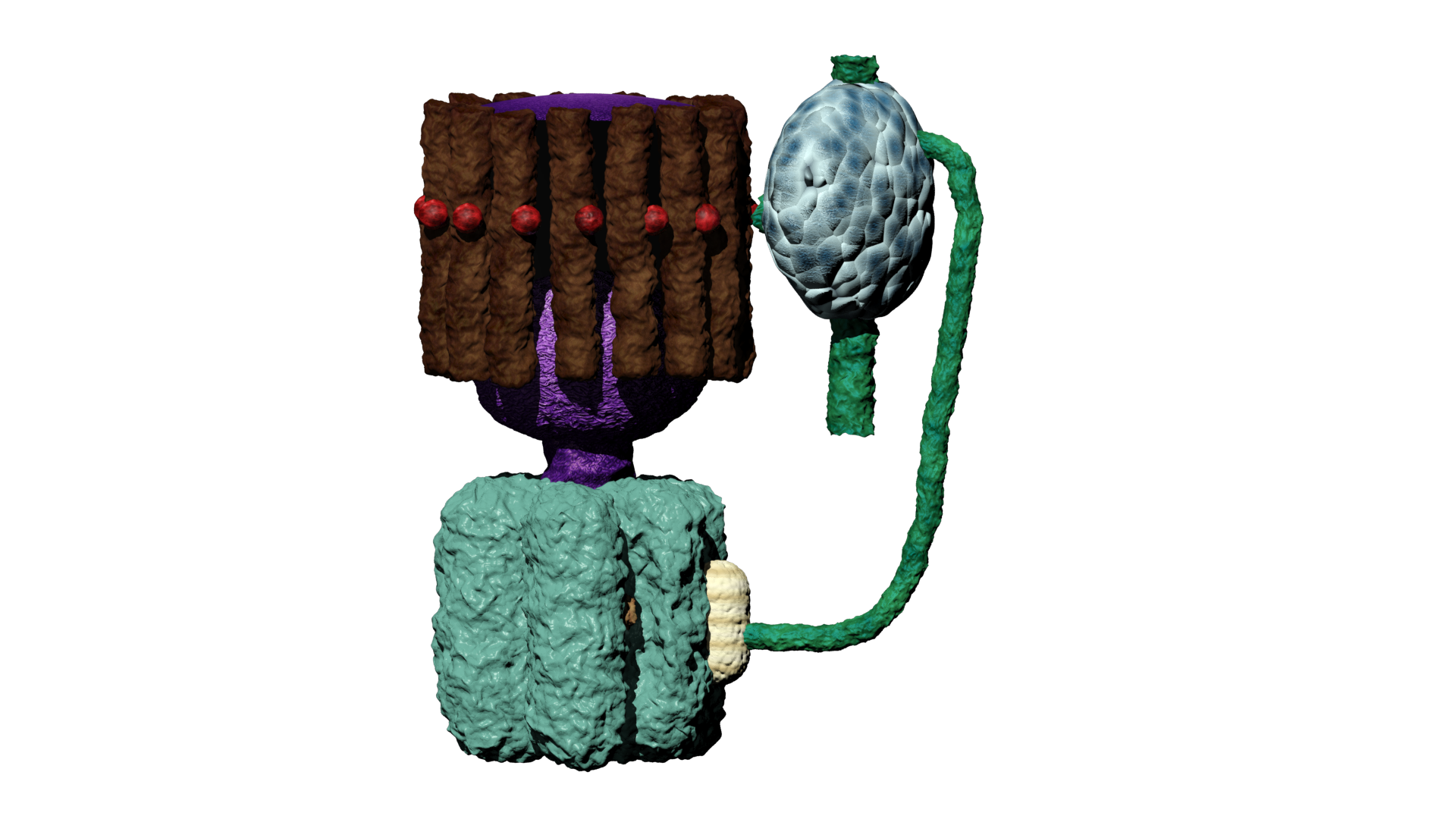 Profielwerkstuk Thumbnail